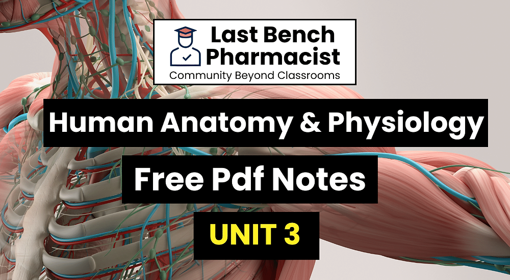 B Pharm Human Anatomy And Physiology 1 Unit 3 Pdf Notes