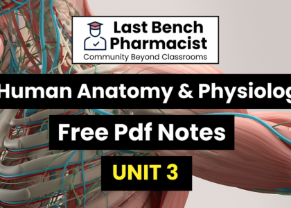 B Pharm Human Anatomy And Physiology 1 Unit 3 Pdf Notes