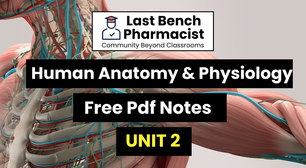 B Pharm Human Anatomy And Physiology 1 Unit 2 Pdf Notes