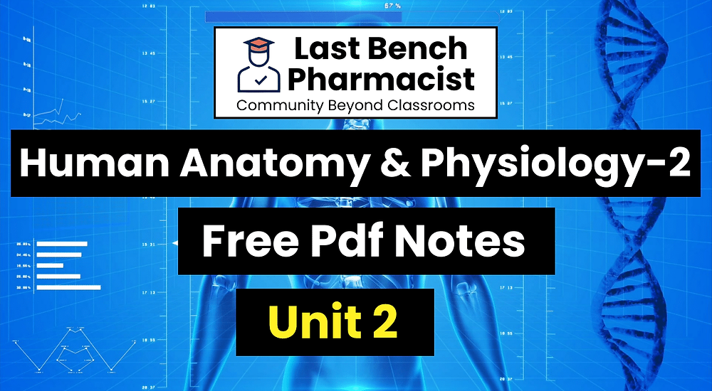 B pharm Human Anatomy And Physiology 2 Unit 2 Pdf Notes