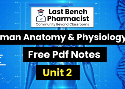 B pharm Human Anatomy And Physiology 2 Unit 2 Pdf Notes