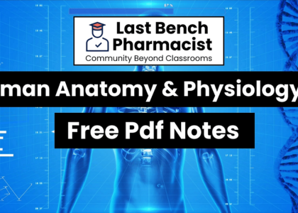 B Pharm Human Anatomy And Physiology 2 Pdf Notes