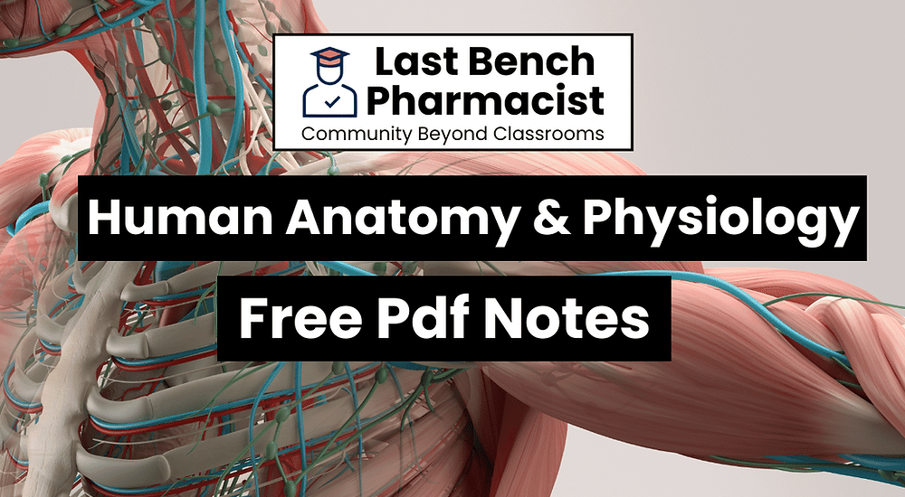 B Pharm Human Anatomy And Physiology 1 Pdf Notes