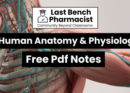 B Pharm Human Anatomy And Physiology 1 Pdf Notes